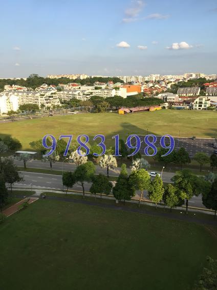 Blk 313 Sembawang Drive (Sembawang), HDB 5 Rooms #126953012